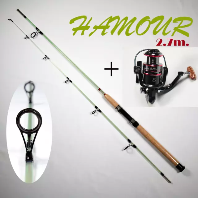 HAMOUR M 8'10" TRANSPARENT FISHING ROD & HC4000 Reel Combo ~FREE Shipping