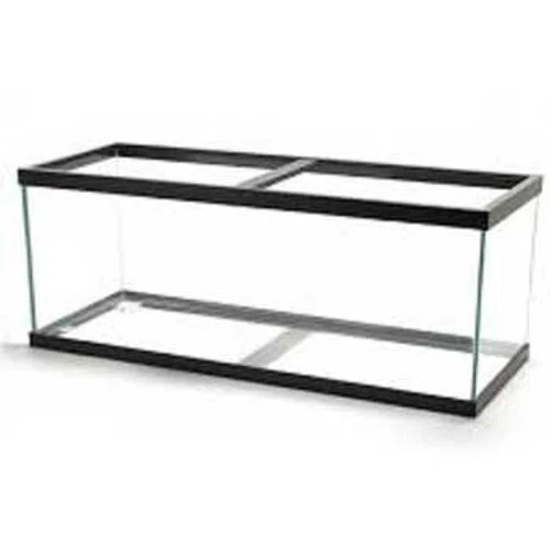 40 gallon aquarium