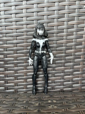 spider man armadillo