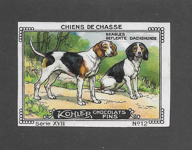 1931 FRANCE NESTLE Cailler Kohler Dog Trade Card TRICOLOR BEAGLE HOUND ...