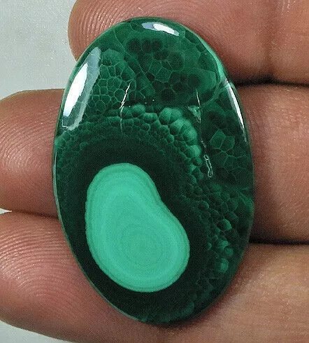 45Cts. Natural Nice Green Malachite Oval Cabochon Designer Loose Gemstone B-462