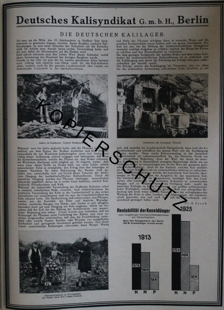 Deutsches Kalisyndikat Berlin Kali Salz Bergbau Große Werbeanzeige anno 1926 ad