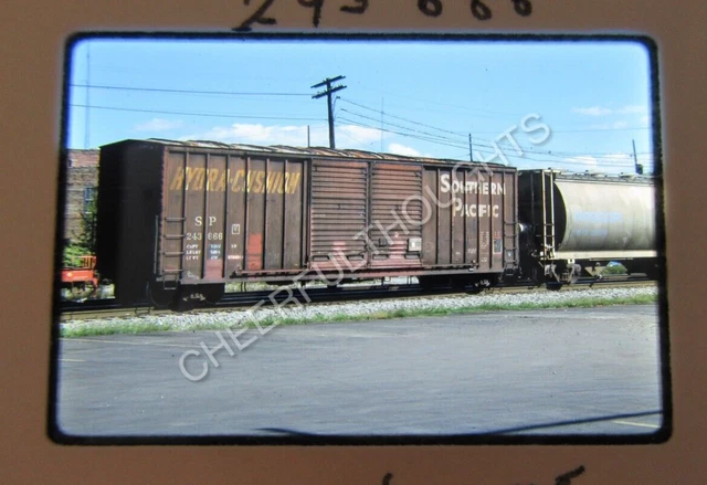 Original '95 Kodachrome Slide SP Southern Pacific 243666 50' DBL Door Box  38W36