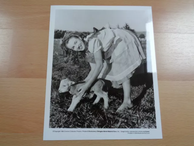 1945 Vintage Original Marilyn Monroe Photo 25Cmx20Cm Andre De Dienes Printed Usa