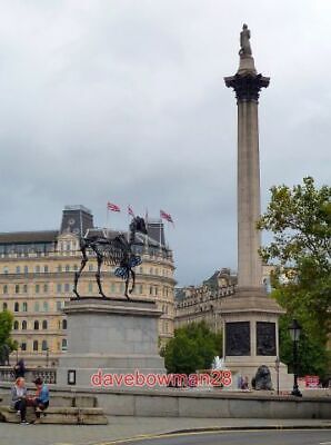 Photo  Thestral In Trafalgar Square Trafalgar Squares Fourth Plinth Has Featured