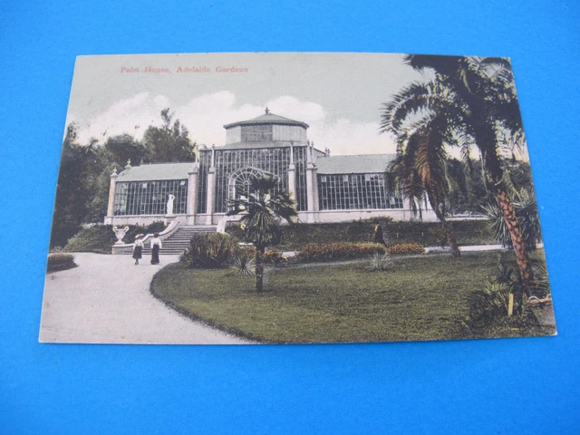 Palm House Adelaide Botanic Gardens South Australia Postcard Postally used
