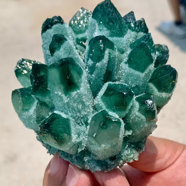 428G A+++New GREEN Phantom Quartz Crystal Cluster Mineral Specimen Healin