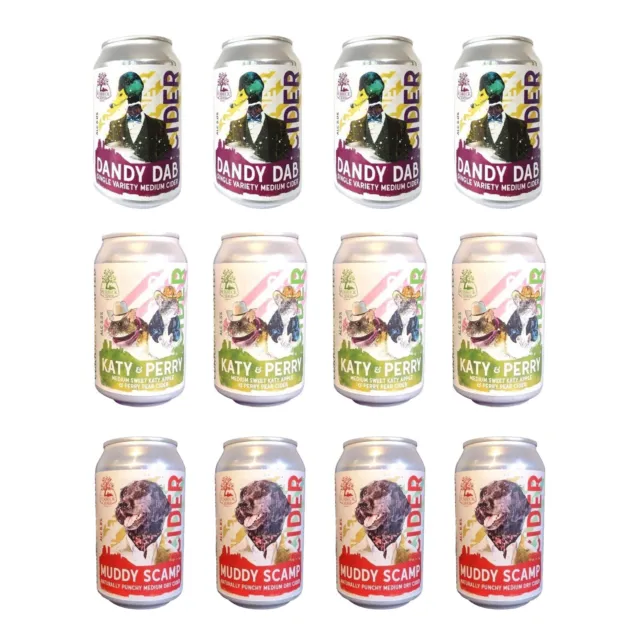 Purbeck Cider Company - Craft Cider Can Selection - 12 Cans