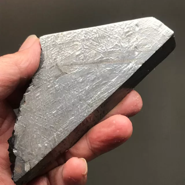Natural Aletai Iron Meteorite 386. Grams End-Cut Etched Fusion Crust Sealed Glaz