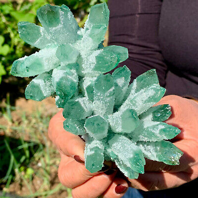 505g newly discovered mineral specimen of green Phantom Quartz Crystal Cluster