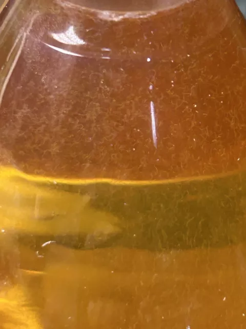 Vinegar Eel Micro Worm Combo For Fry 4oz Of Each Amazing Rams,bettas,rainbows