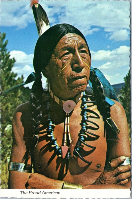 postcard - Native American - The Proud American
