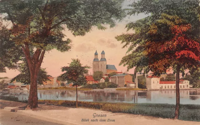 Gnesen (Gniezno) Blick nach dem Dom AK 1915