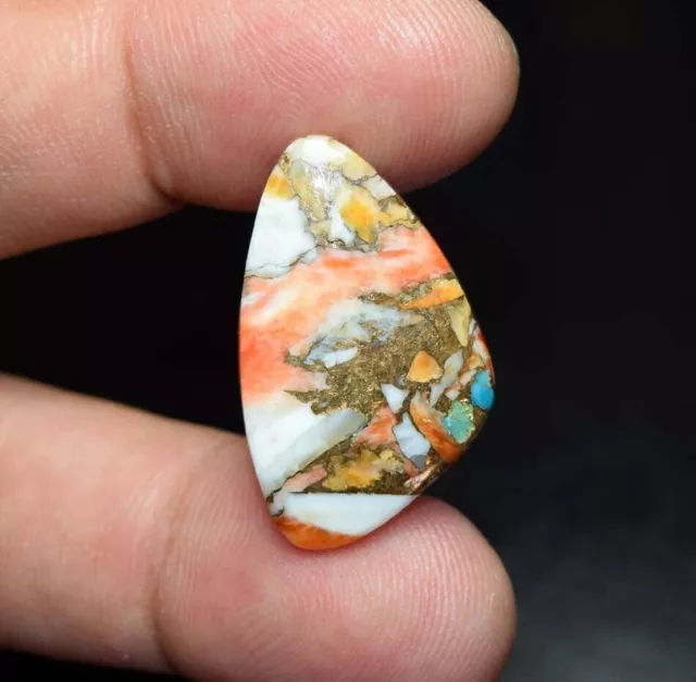 16.35 Cts. Natural Mohave Spiny Oyster Copper Turquoise Cabochon Loose Gemstones