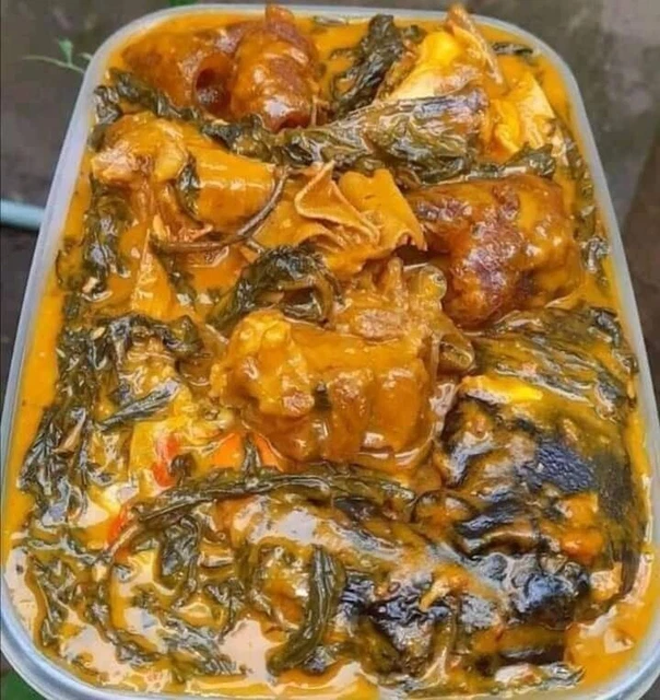 Zuppiera In Porcellana Con Coperchio & Cucchiaio | Elegante E Pratica | Bianco - Foto 7