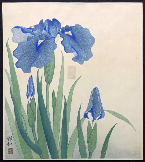 Ukiyoe Japanese Woodblock Print Shobu 菖蒲 Koson Ohara Authentic Work Japan