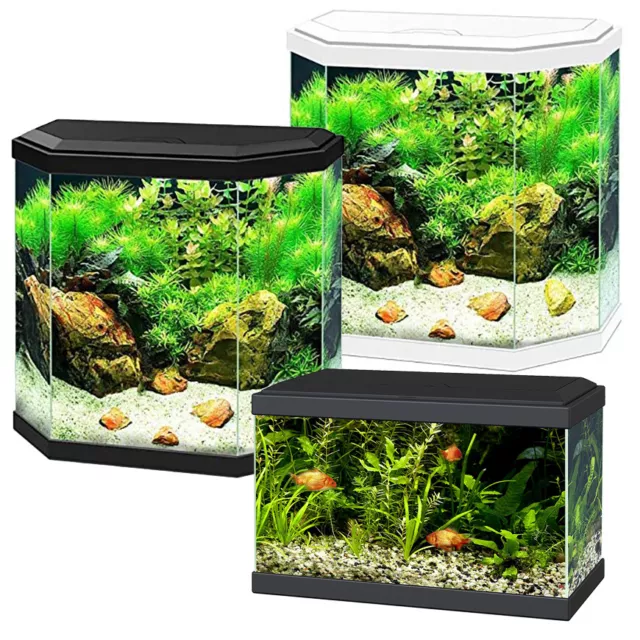 Ciano Aqua Aquarium 20 LED 30 Sechskant Lichthaube Filter Anfänger Fisch Tank