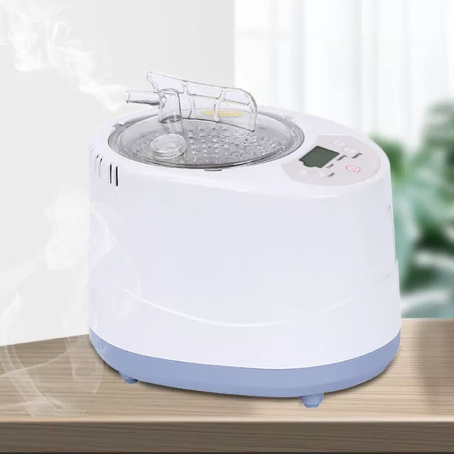 Generador de vapor 3L 1000W, sauna de vapor máquina de vapor 220V sauna portátil cocina de vapor