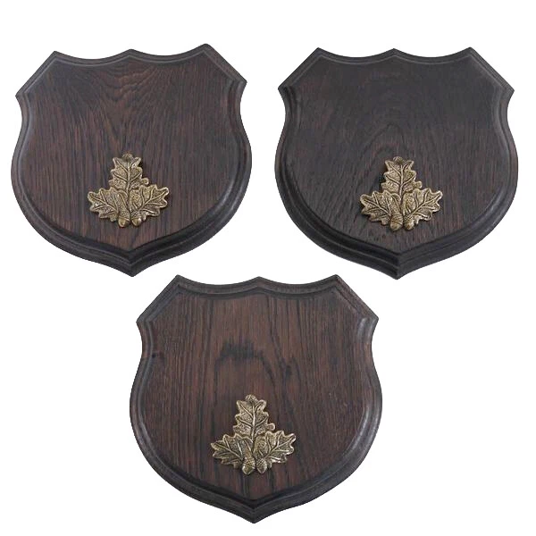 3x Wappenschilder Jabalí Af 17cm Escudo de Trofeo Hoja de Roble Portada Pequeño