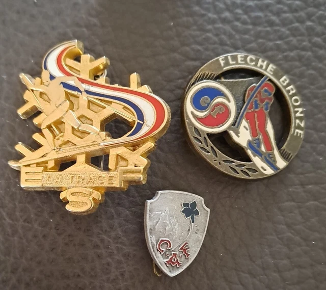 Insigne broche ski esf école  brevet