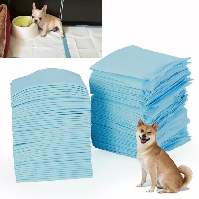 100 tlg Pipi Trainingsmatte Welpenunterlage Hunde Katze Pinkeln Pads PE + Papier