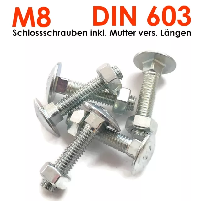 M8 Schlossschrauben Flachrundkopfschrauben DIN603 inkl. Mutter - galv. verzinkt