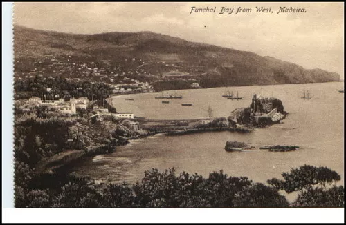 MADEIRA ~1910/20 Portugal FUNCHAL Bay Harbour Port Vintage Postcard