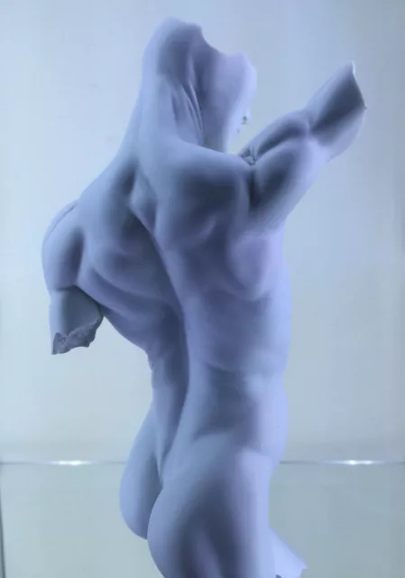 Erotic nude Male Torso Statue Jaydee  Models Sculpture Jonathan Dewar