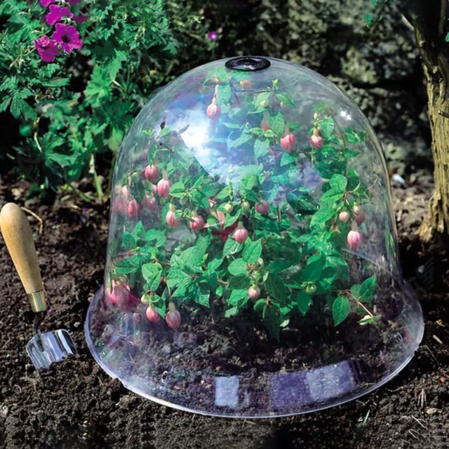 Garden Bell Dome Plant Bell Plant Covers Garden Decor Plant Protector Cove-EL