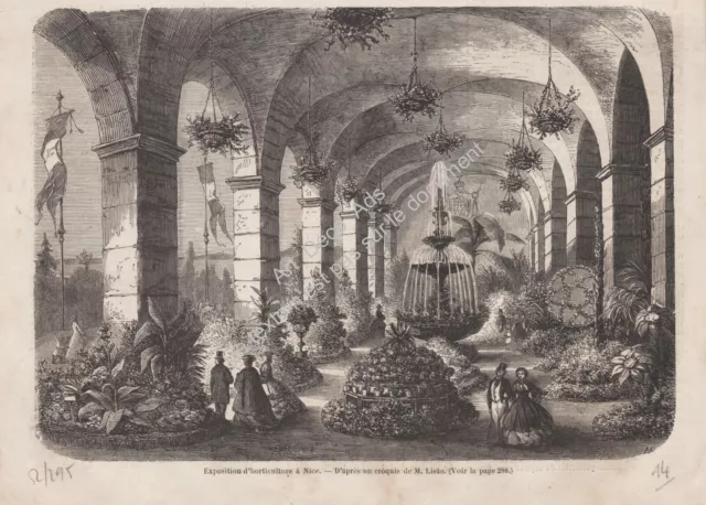 L'Exposition d'Horticulture de NICE Gravure Engraving 1861