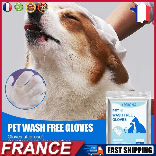 6pcs Cleaning Gloves No Rinse Disposable Cleaning Massage Gloves Pet Accessories