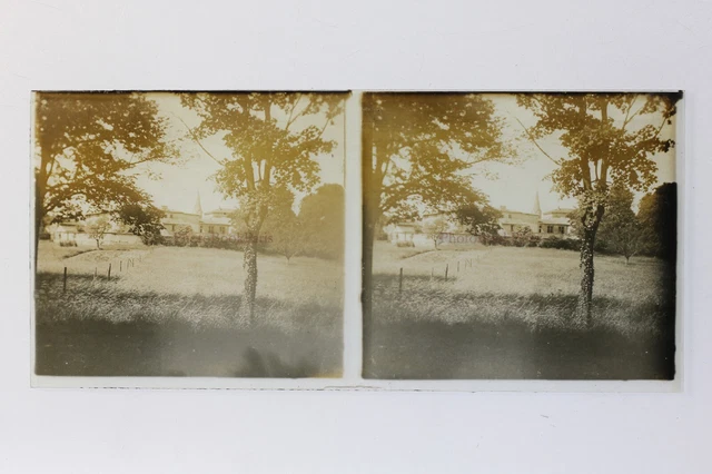 France Artistic Field Photo Stereo P50L3n18 Glass Plate Vintage c1930
