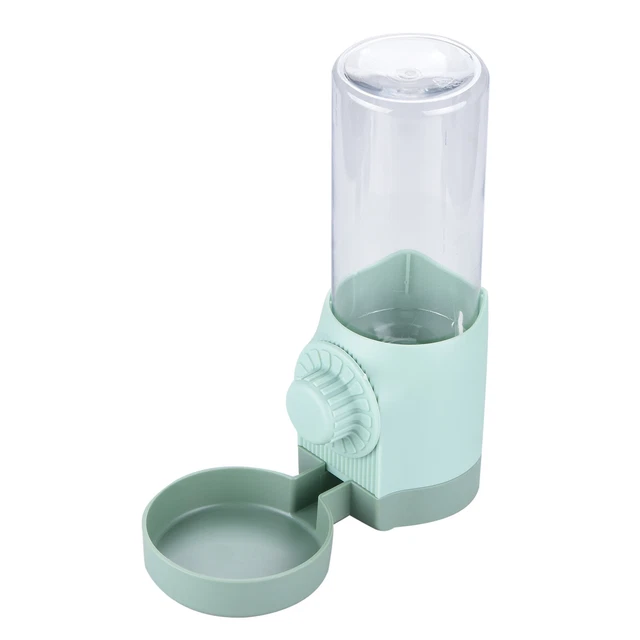 Gift Base Crazy Violino Donna Stars Sports Bottiglia Acqua