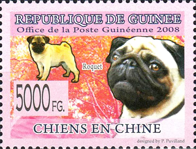 Guinea nuovo di zecca cane animale animale domestico carpino razza Inghilterra Regno Unito
