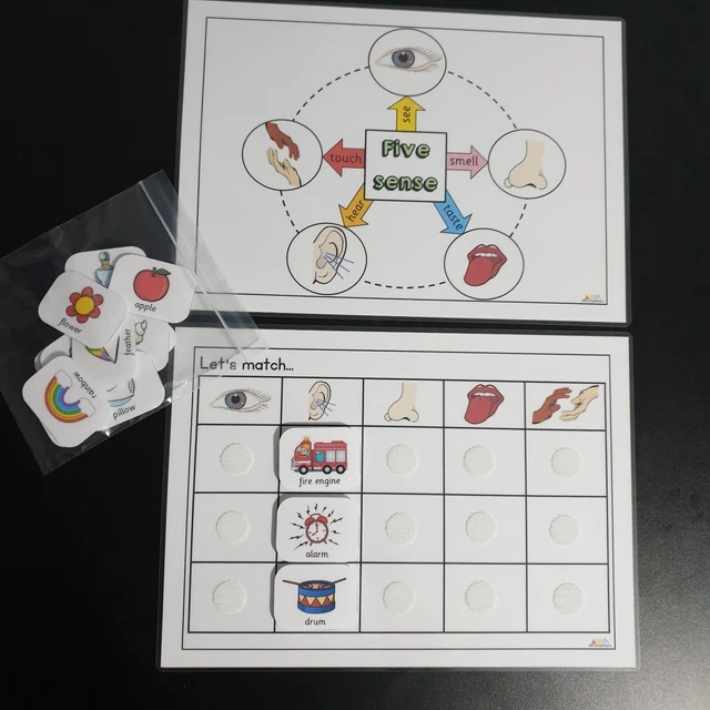 Fun Activity Sen FIVE SENSES, TEACHING resources, homeschooling, learning activity, SEN ...