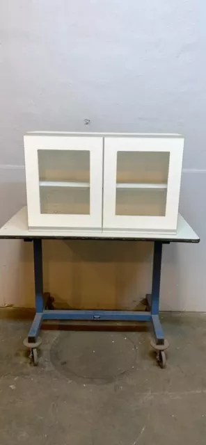 Overhead Cabinet Chem Resistant 36x13x23 Chemsurf Laminate