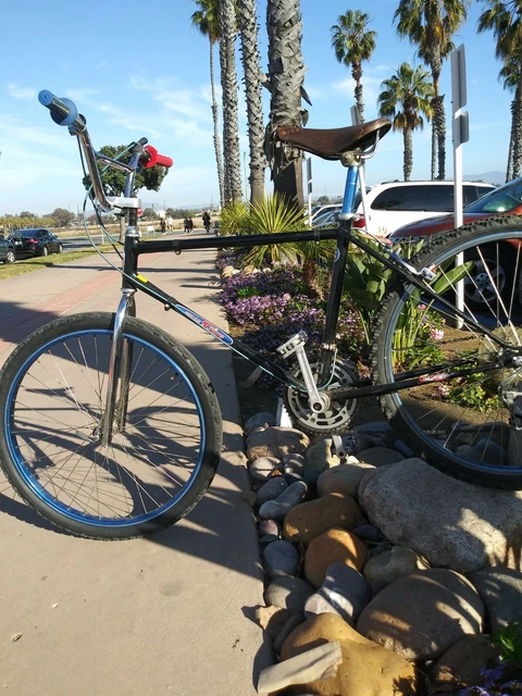 Schwinn holly outlet
