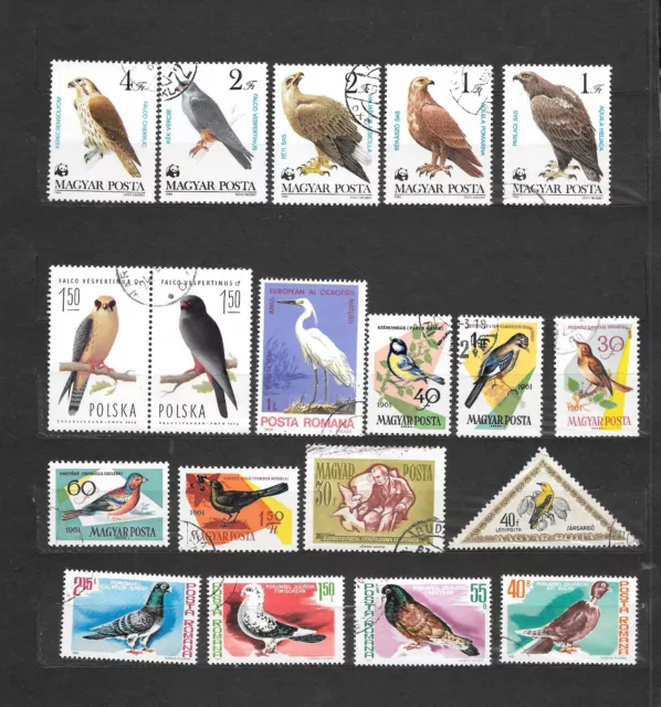 UCCELLI, OISEAUX, BIRDS  USATI  lot lotto