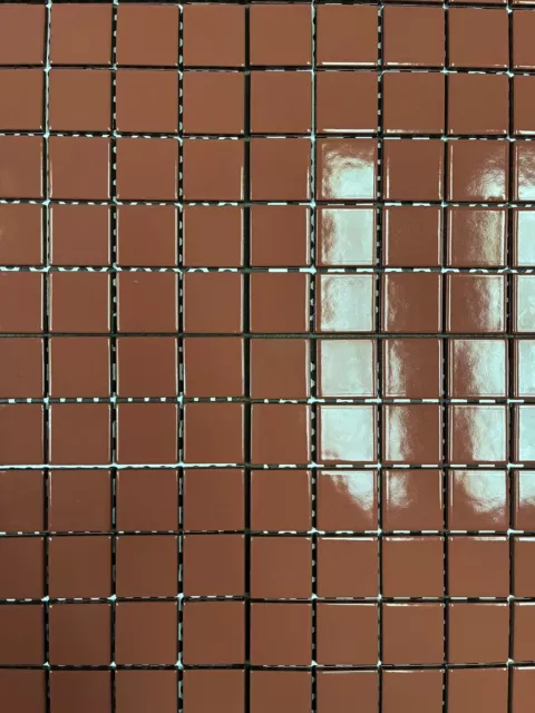 Antique Rose Bathroom Shower Wall Tile 2x2* Bright Ceramic C#598 10sqft