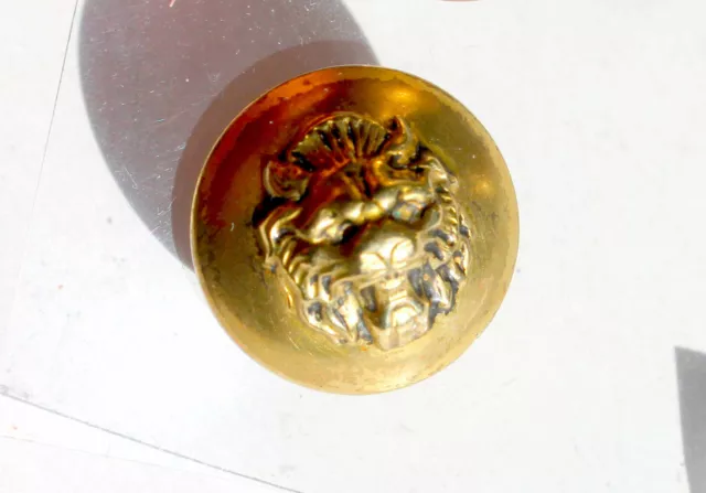 TRES RARE BOUTON / BUTTON UNIFORME ANCIEN - TETE DE LION - BOMBÉ DORÉ - D:22mm