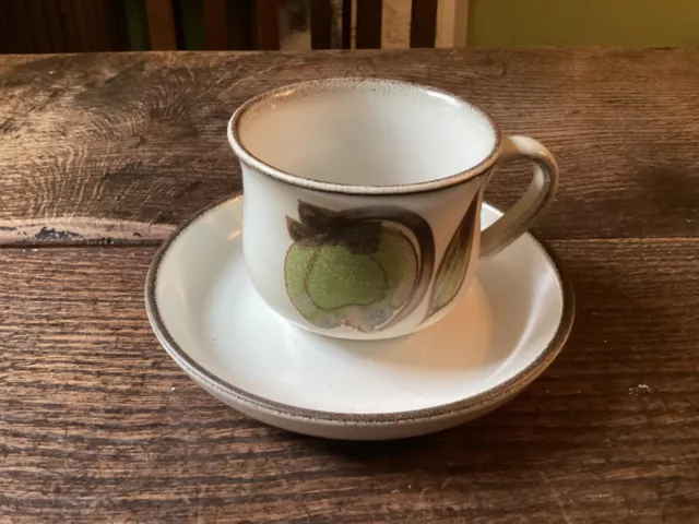 Denby Troubadour cup and saucer- vintage hand painted stoneware