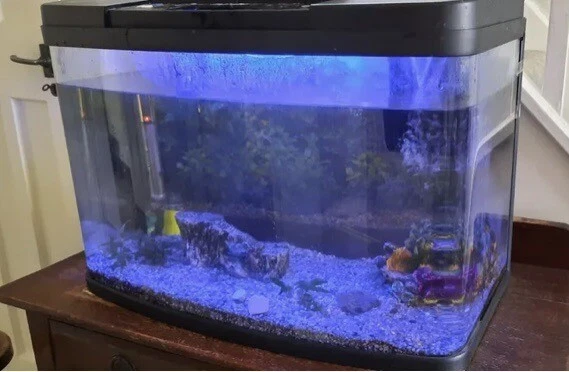 panorama fish tank 64 Litres 3