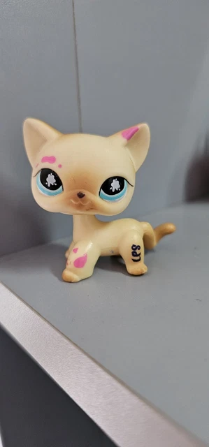 My Littlest Petshop Lps Pet Shop LPS European Cat Shorthair My Littlest Petshop Lps Pet Shop LPS European Cat Shorthair