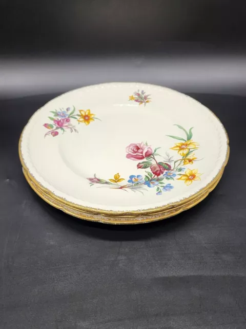 Vintage Swinnertons Majestic Vellum Plate Set Of 3 Bone China Floral England