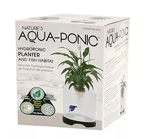 Aquaponic Planter and Aquarium for Betta Fish | Tank Promotes 1.4 Gallon 3