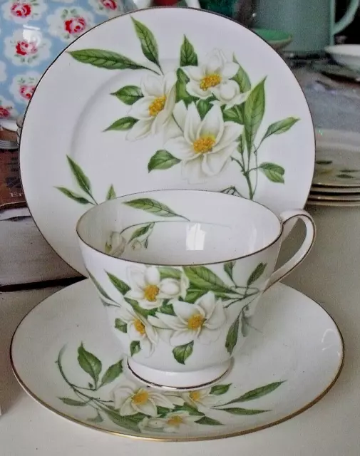 Shelley China Syringa Windsor shape tea cup, saucer and side plate trio. 14009.