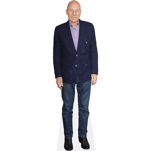 Patrick Bruel (Black Jacket) Silhouette En Carton