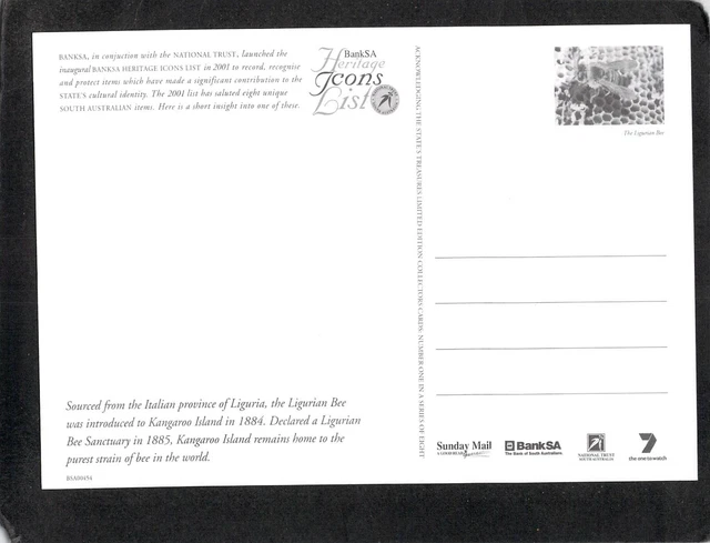 S0105 South Australia BankSA Heritage Icons Ligurian Bee postcard 2