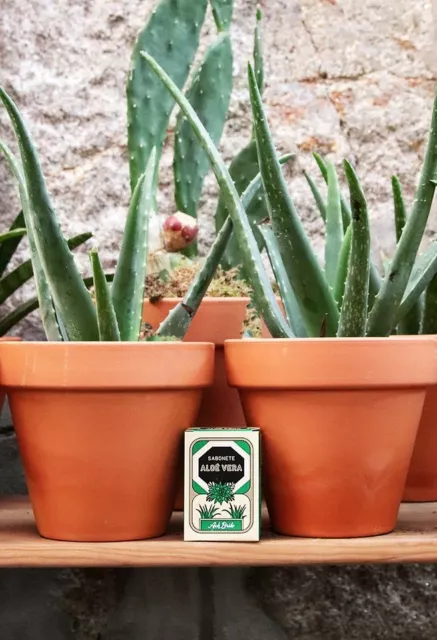 Feine spezielle Pflege-Seifen 90 g Propolis Bims Teer Aloe Ziegenmilch Mandel 3