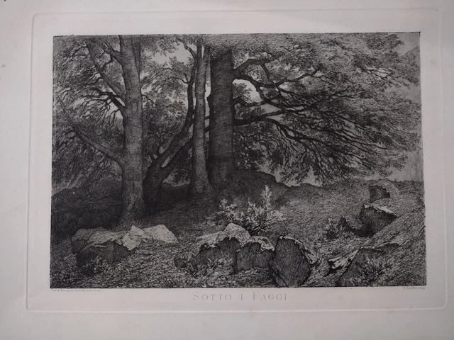 Angelo Beccaria Sotto i faggi alberi acquaforte originale 1870 Torino
